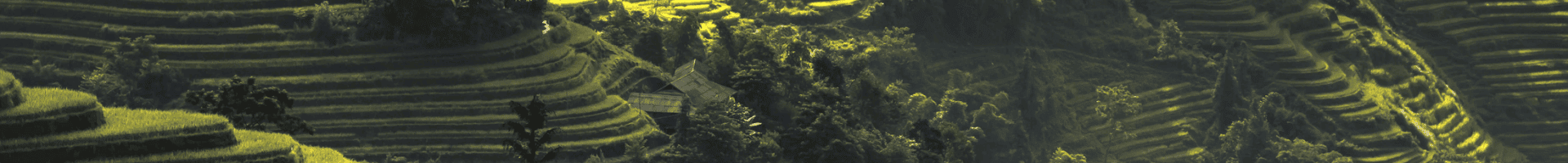 Ha Giang terraces