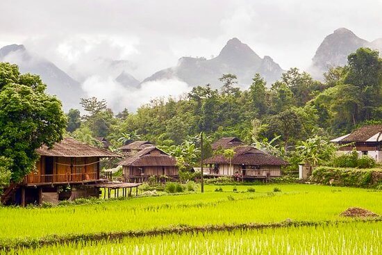 Traditional wooden stilt houses in Du Gia village surrounded by lush green rice paddies and misty mountains on the Ha Giang Loop.