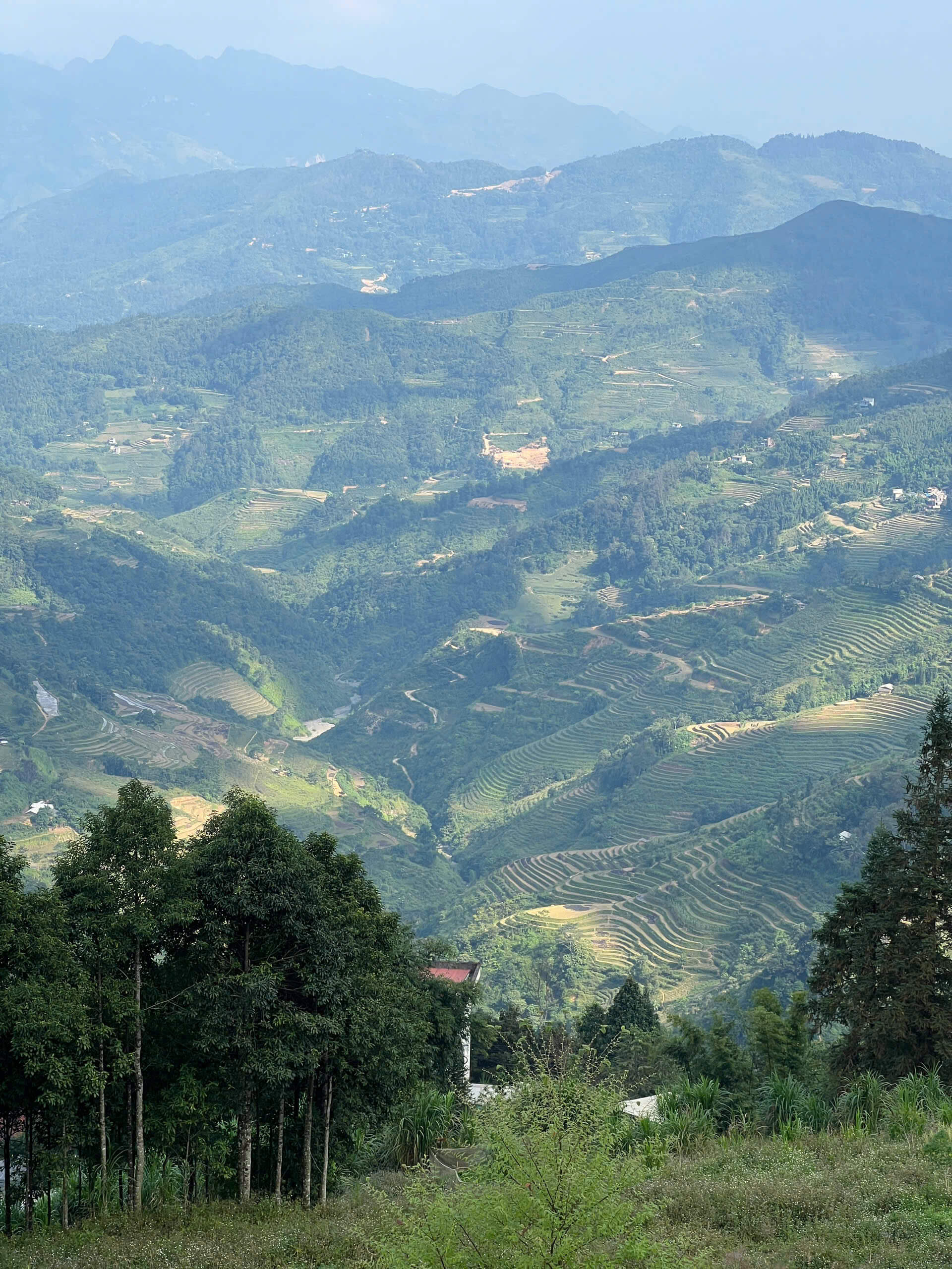 High-angle view of the iconic jagged limestone mountains and deep green valleys characteristic of the Ha Giang Loop.