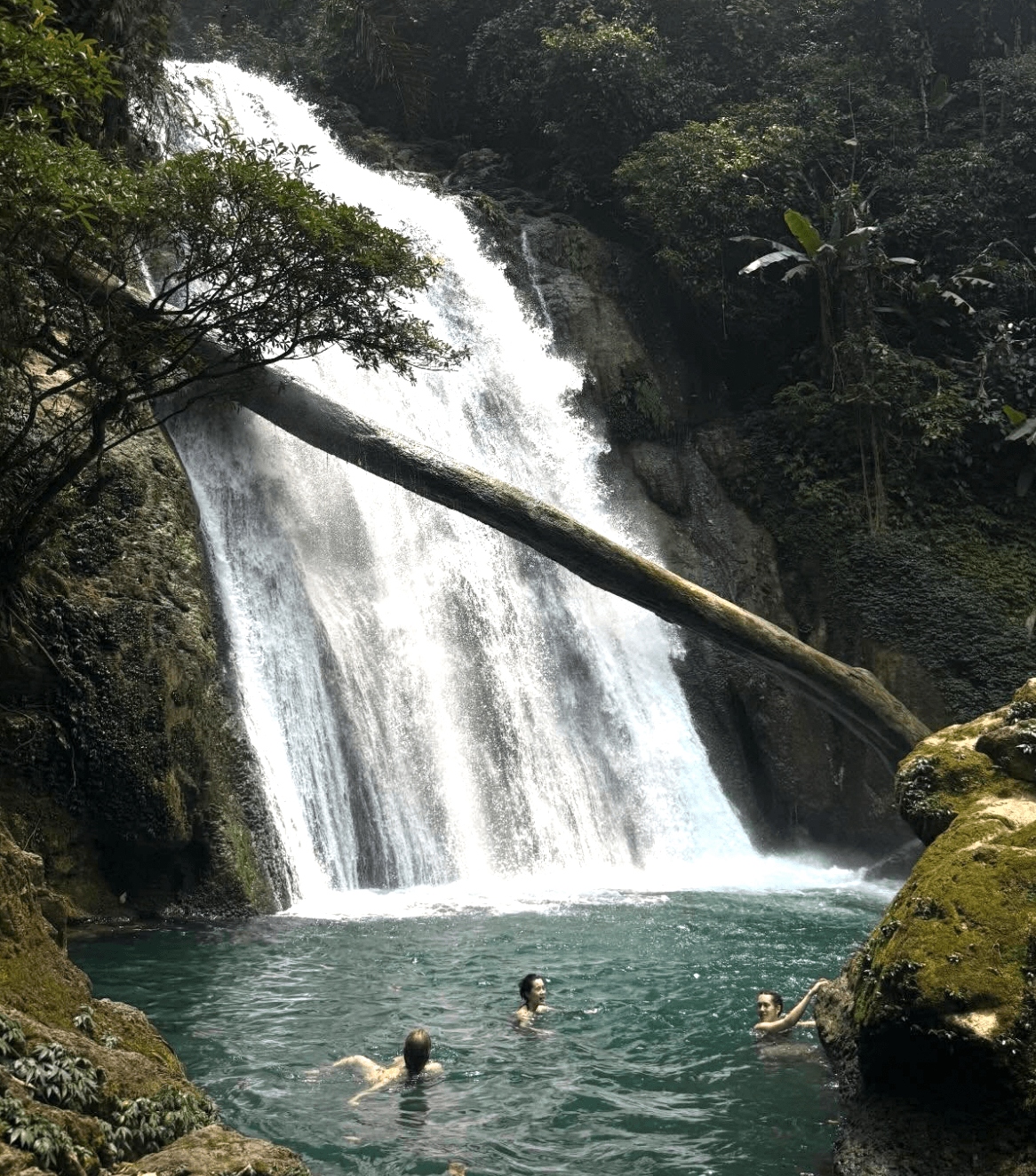 Three female travelers swimming in a crystal-clear, deep green natural pool at the base of the powerful Du Gia Waterfall, surrounded by lush jungle on the Ha Giang Loop.