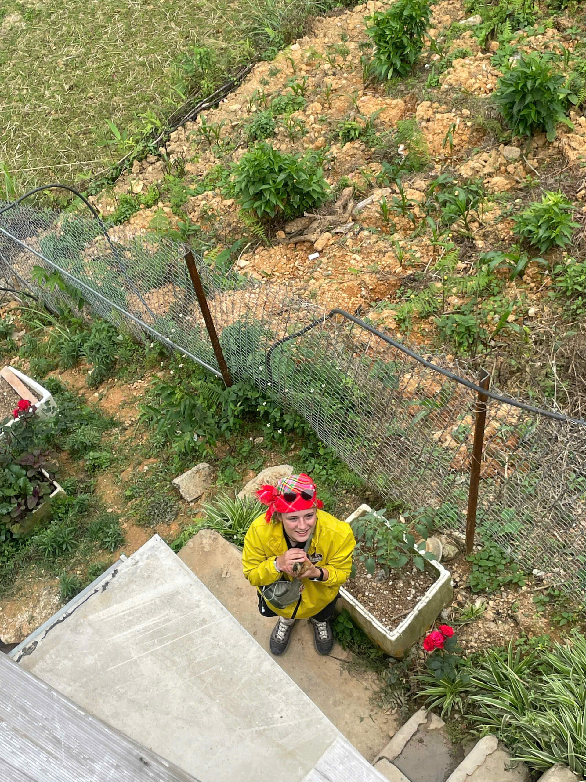 A high-angle shot of a smiling female traveler wearing a yellow jacket and a traditional red ethnic headscarf, looking up at the camera while gently holding a small puppy at a rural, terraced homestay in Ha Giang.
