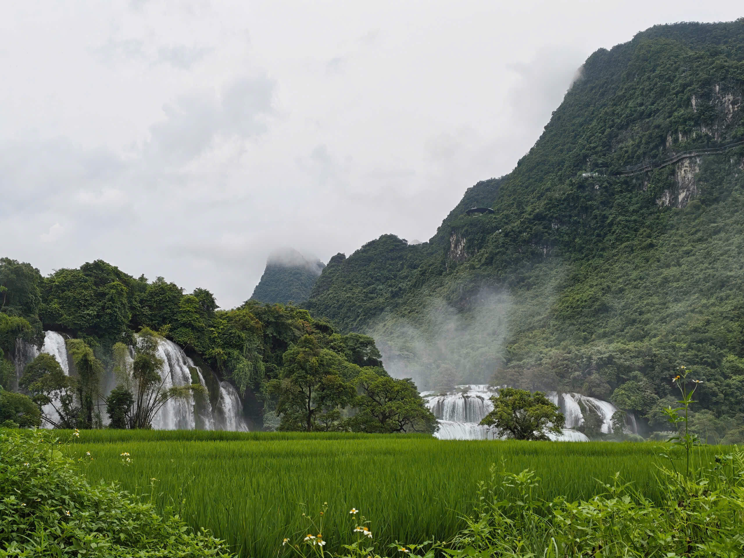 A breathtaking landscape view of the multi-tiered Ban Gioc Waterfall shrouded in light mist, surrounded by lush green jungle and vibrant rice paddies in Cao Bang, Vietnam.