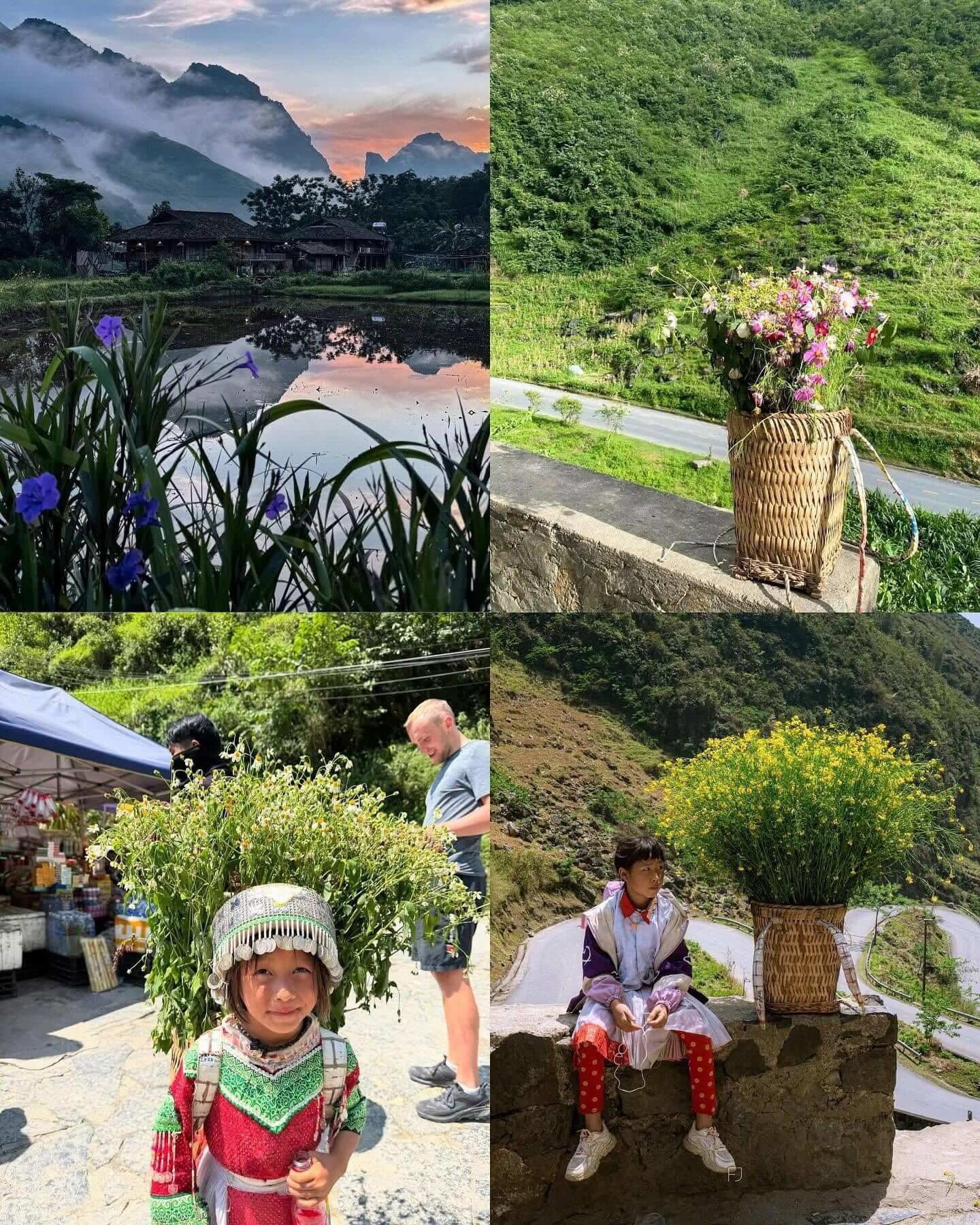 A collage showcasing Ha Giang's autumn culture, featuring a traditional stilt house at sunset, baskets of colorful mountain flowers, and local ethnic children in traditional Hmong clothing interacting with tourists on the mountain passes.